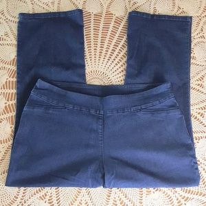 Westbound Womens Jean's 20W Smooth Stretch Pants